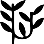 Vines
