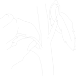 Pulling Off Leaves