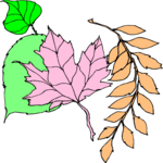 Leaves 53