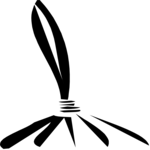 Broom 03