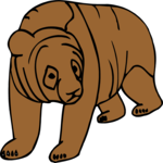 Bear 13