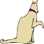 Cat 13