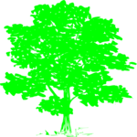 Tree 222