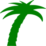 Palm Tree 44