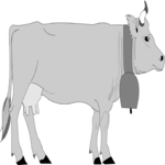 Cow 10