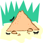 Ant Hill 1