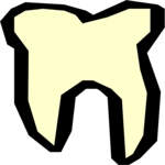 Tooth 20