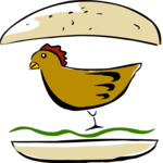 Chicken Sandwich
