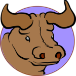 Taurus 01