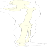 Bones - Leg 2