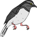 Bird 037
