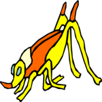 Bug 023