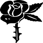 Rose 42