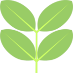 Leaves 04