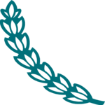 Leaves 43