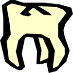 Tooth 17