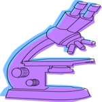 Microscope 13