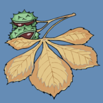 Leaves 65