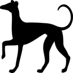 Greyhound 2