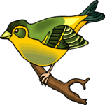 Goldfinch 2