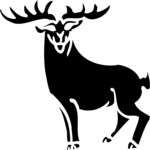 Stag 1