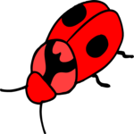 Ladybug 5