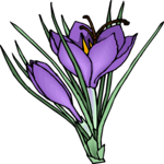 Flower 328