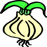 Onion 14