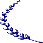Olive Branch 2