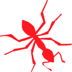 Ant - Red 1
