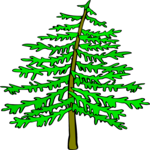 Tree 187