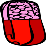 Capsule 4