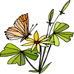 Butterfly 131