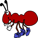 Ant 05