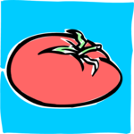 Tomato 01