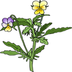 Flower 307