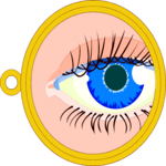 Eye 14