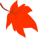 Leaf 075