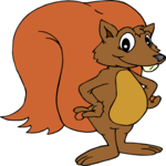 Squirrel 07