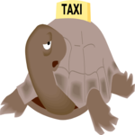 Turtle Taxi