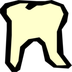 Tooth 19