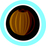 Coconut 2