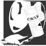 Insulation & Caulk