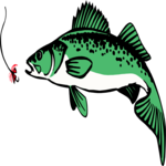 Fish 027
