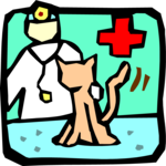 Veterinarian 2