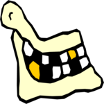Jaw