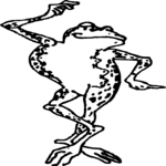 Frog - Posing