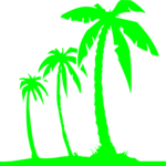 Palm Trees 10