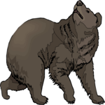 Bear 20
