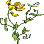 Flower 306